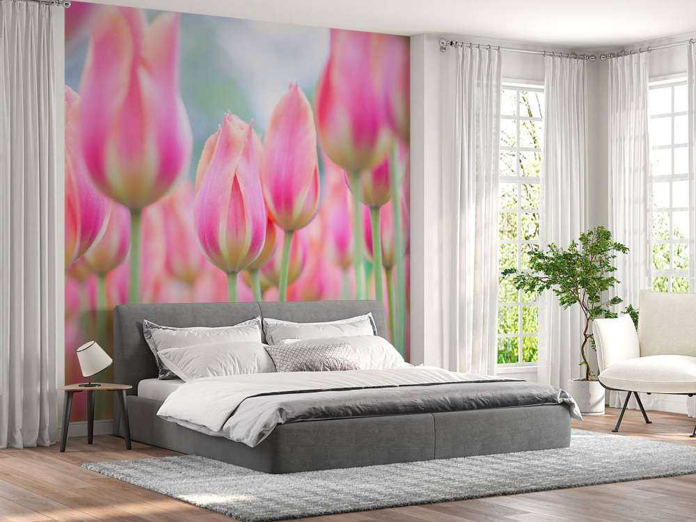 Close-up pink tulips