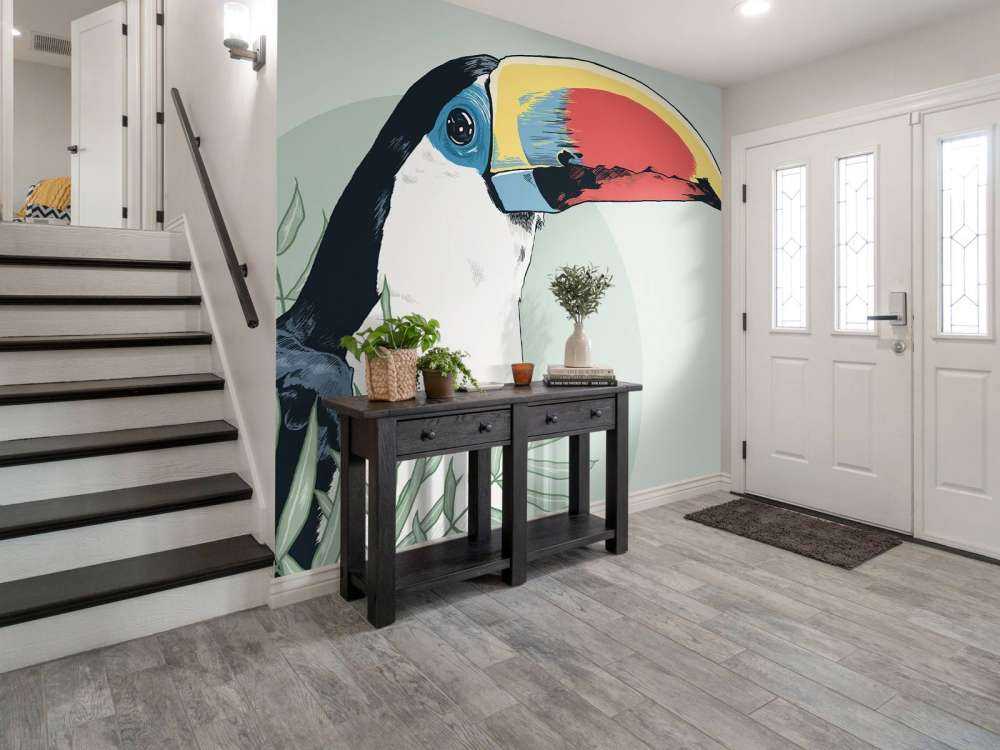 Coloured&#x20;toucan