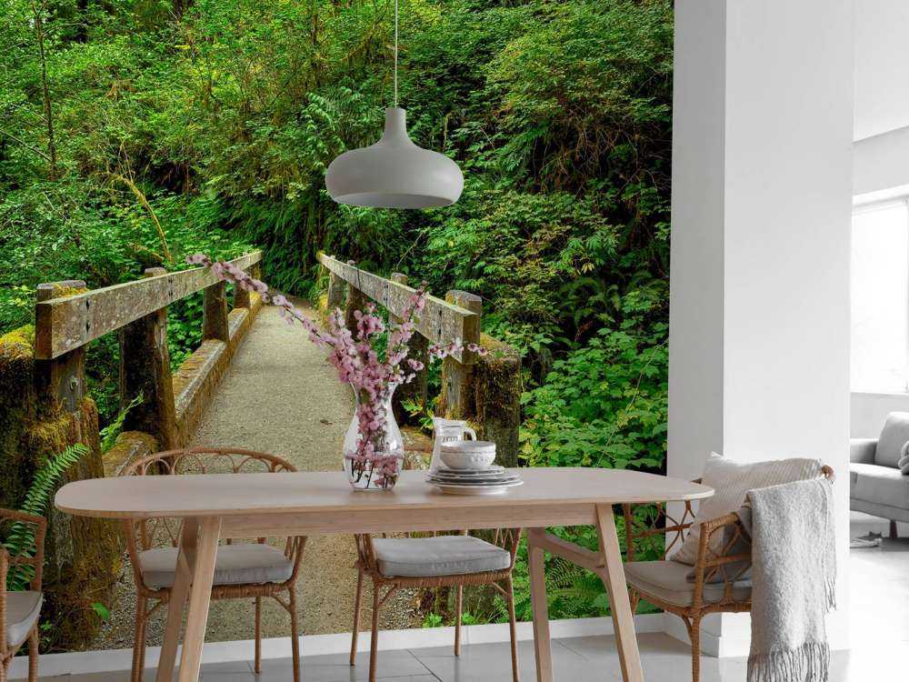 Bridge in the forest