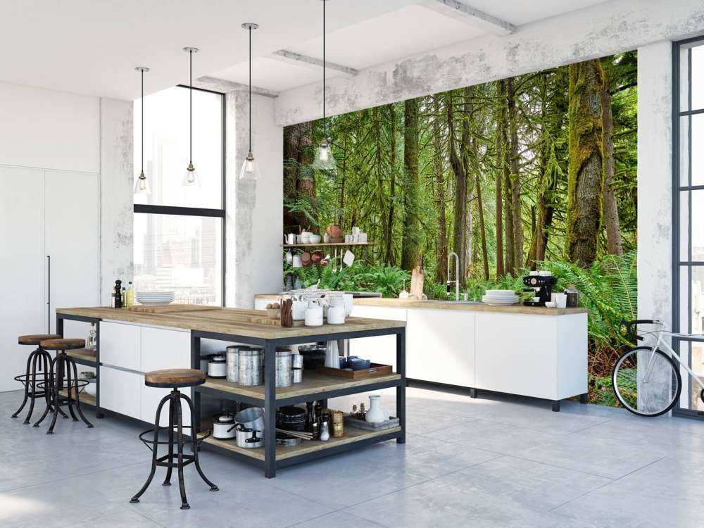 Path with stones through the forest 