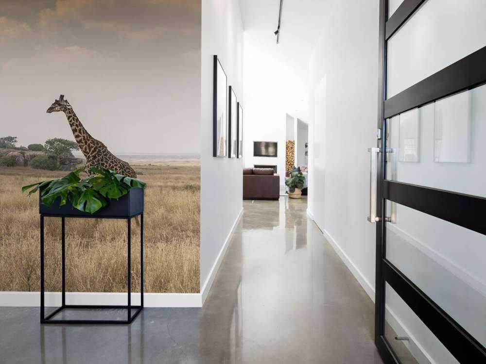 Giraffe on a savannah