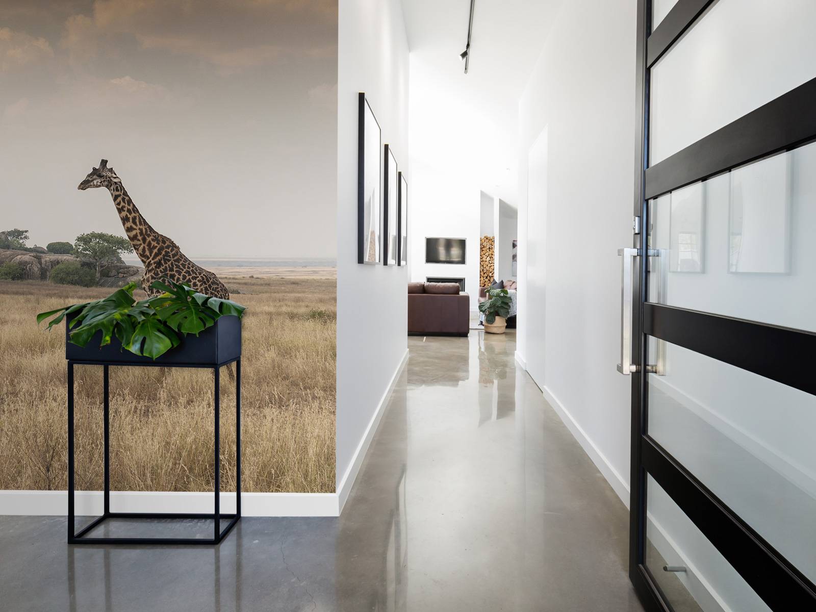 Giraffe on a savannah