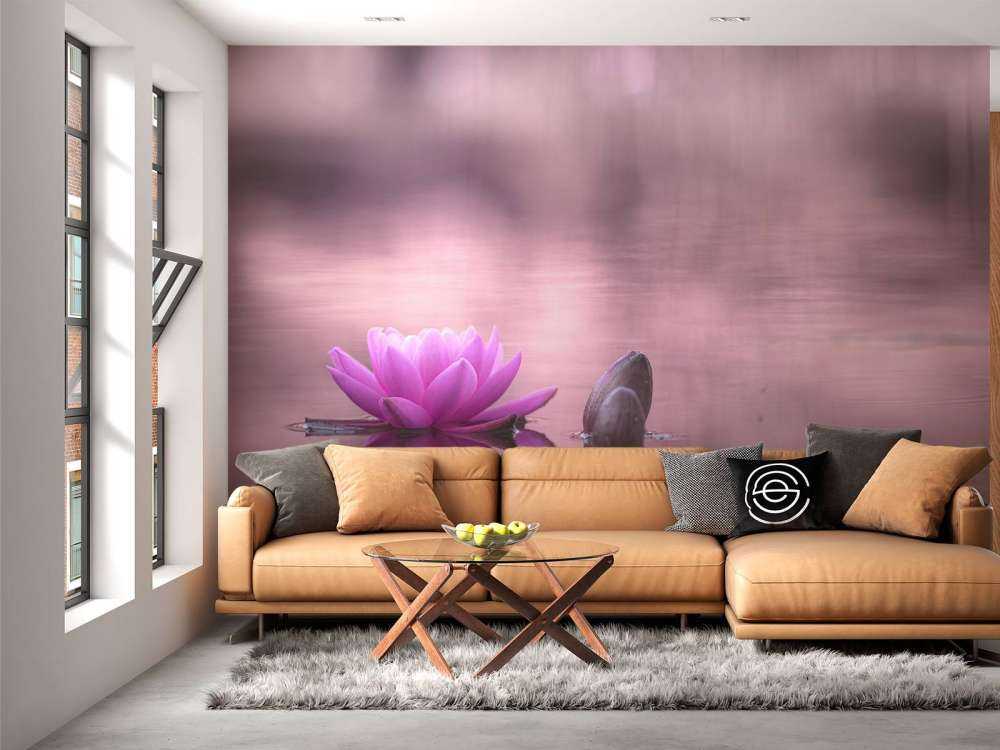 Lotus flower in pond