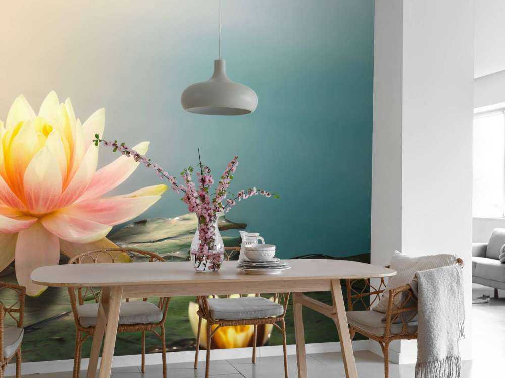 Pond with lotus flowers