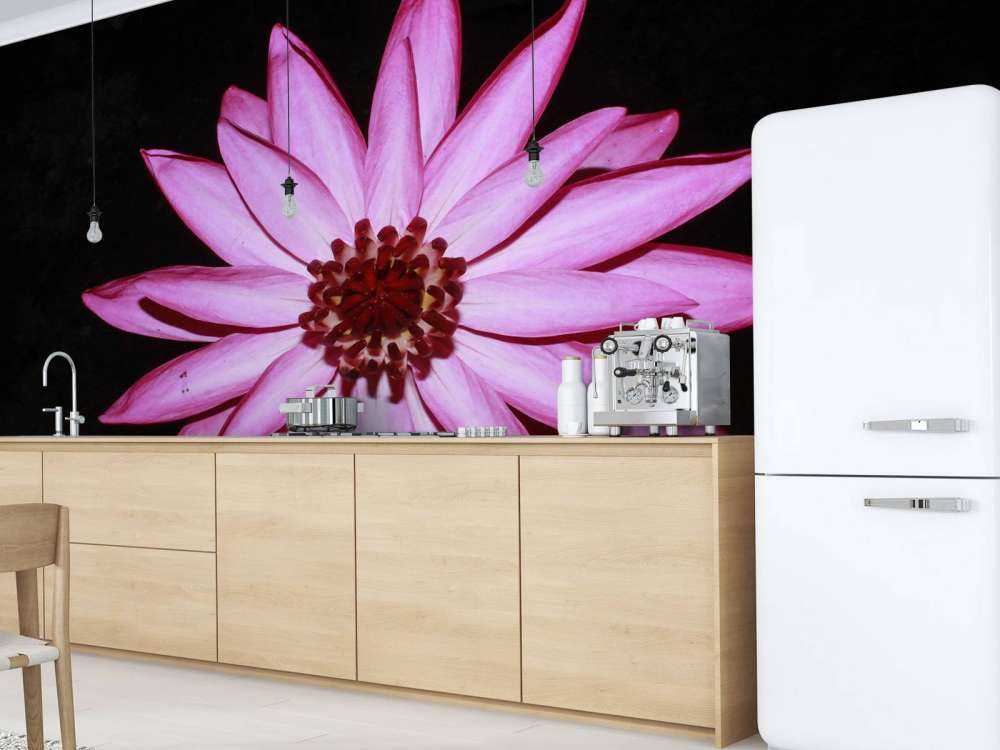 Lotus flower from above