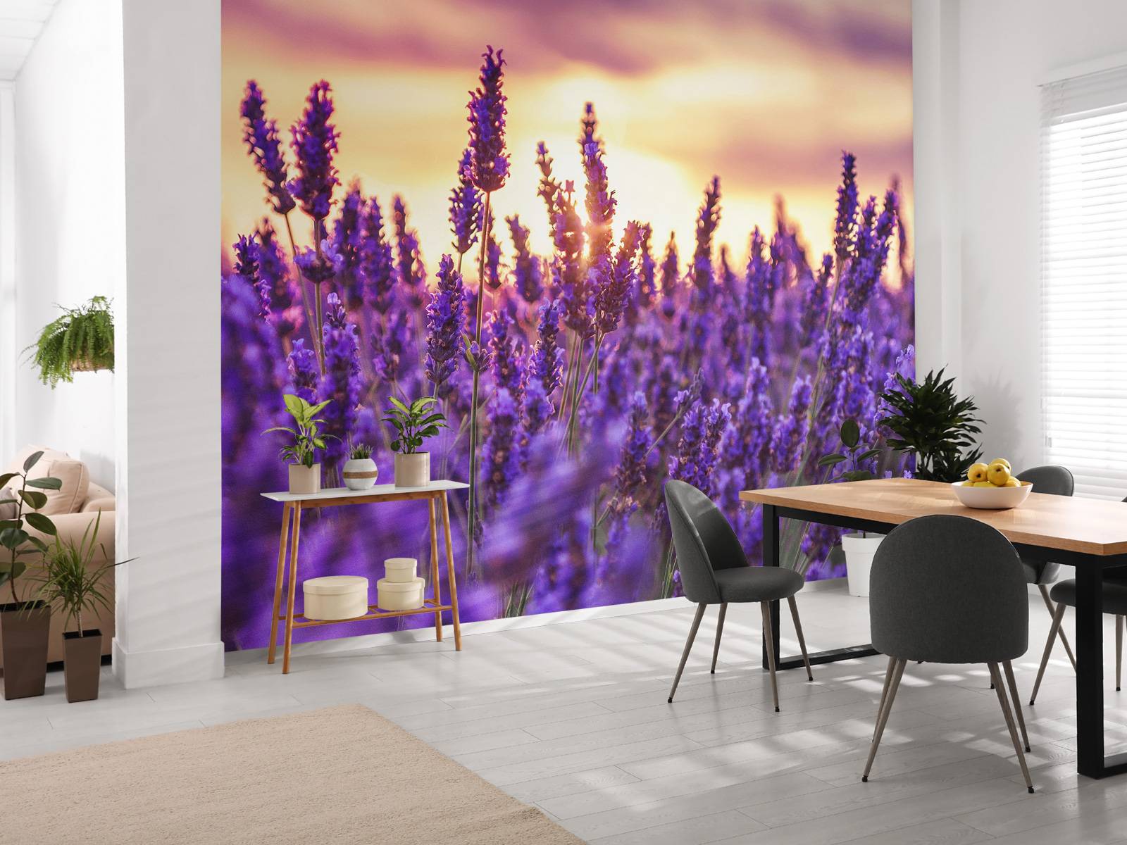 Lavender flowers