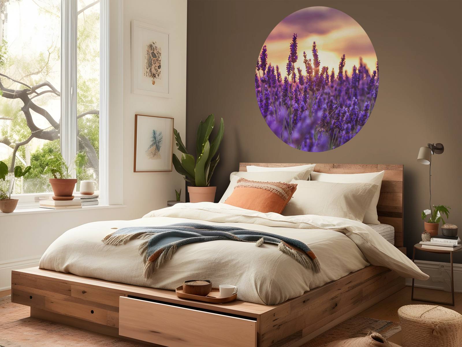 Lavender flowers