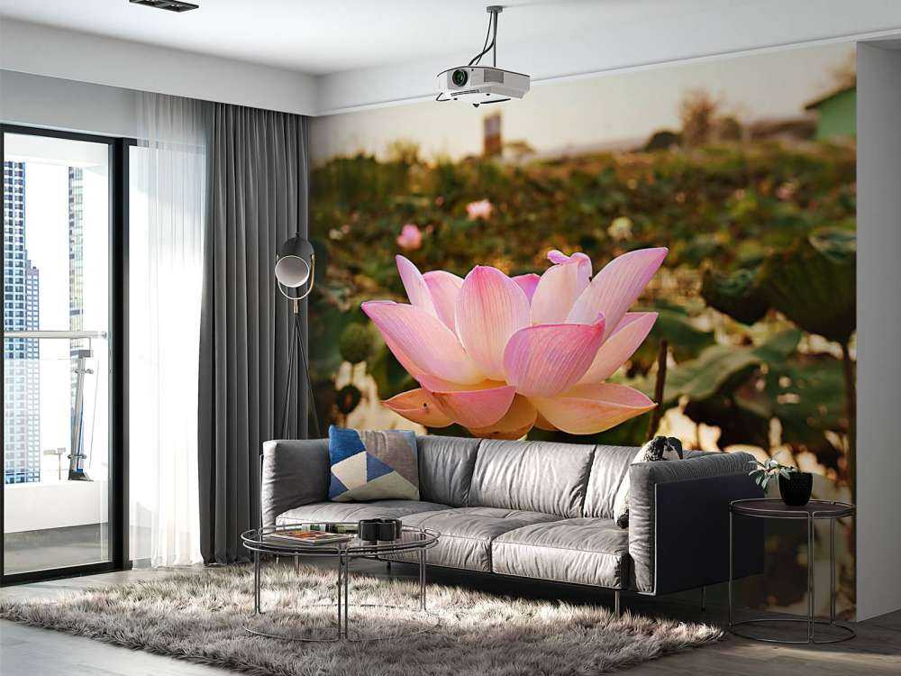 Pink lotus flower