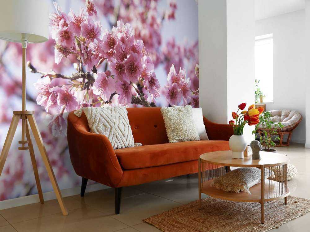 Close-up pink blossom