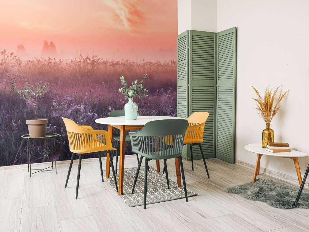 Field with morning mist