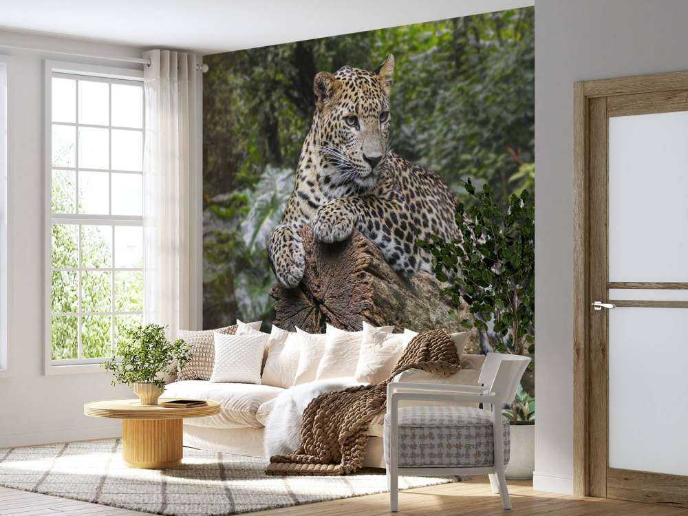 Leopard on tree