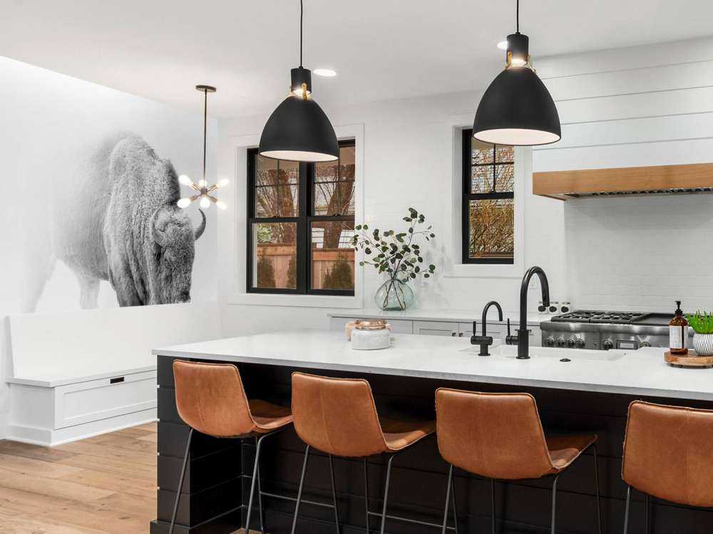 Bison black, white