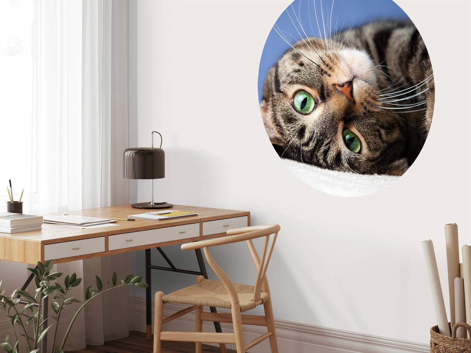 Rolling cat