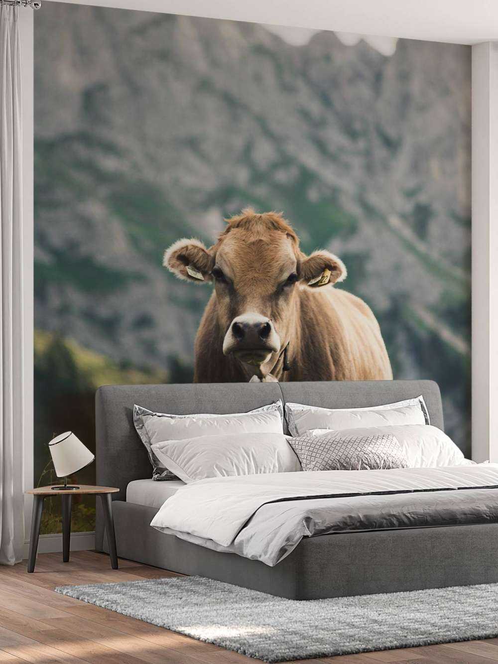 Mountain cow