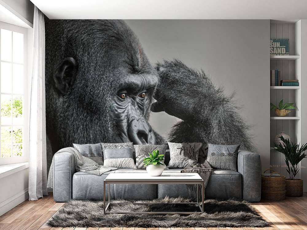 Gorilla black and white