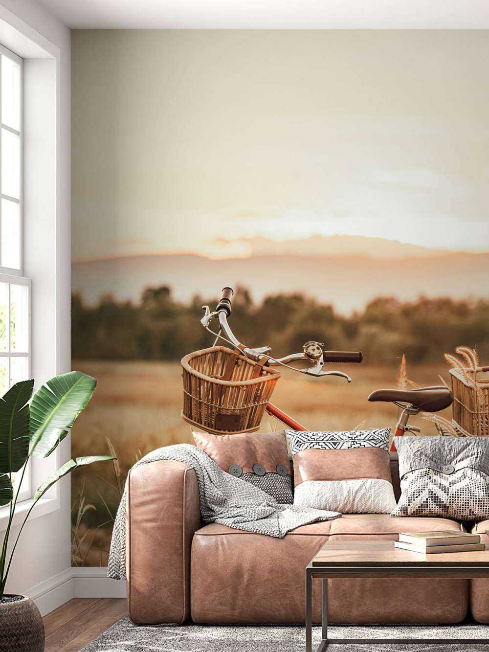 Vintage bike in summer