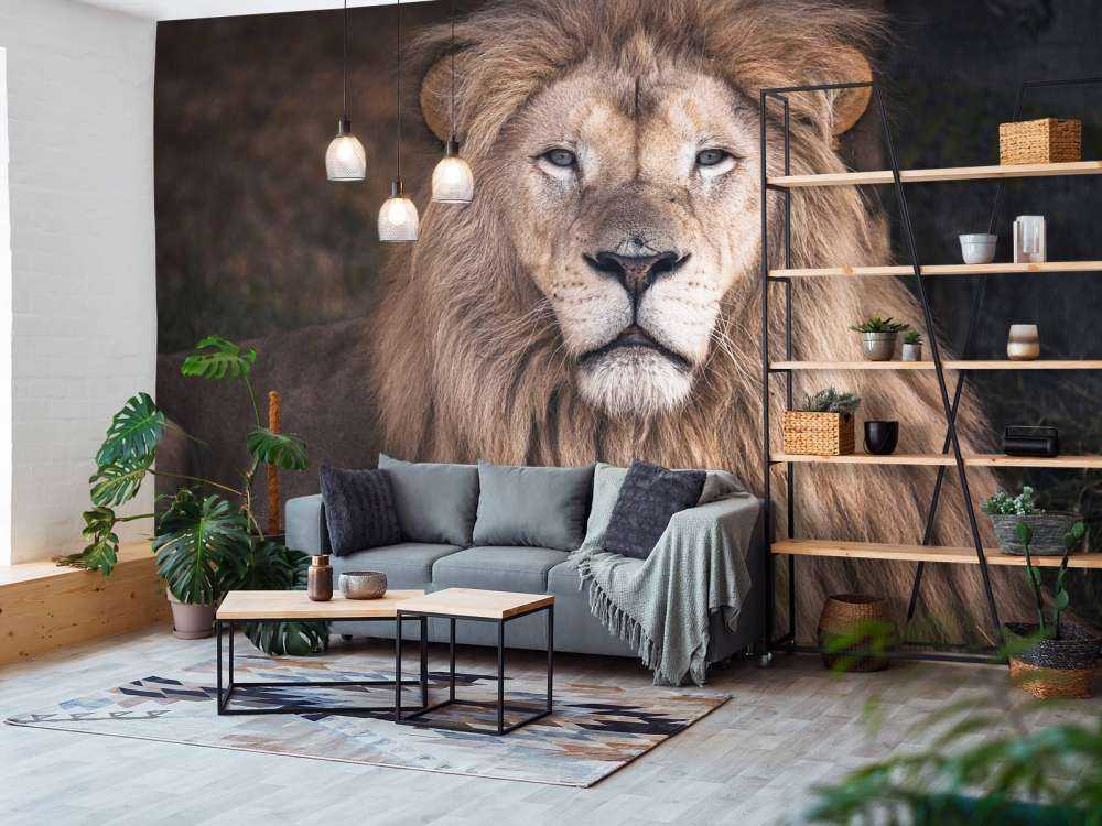 Portrait of a lion