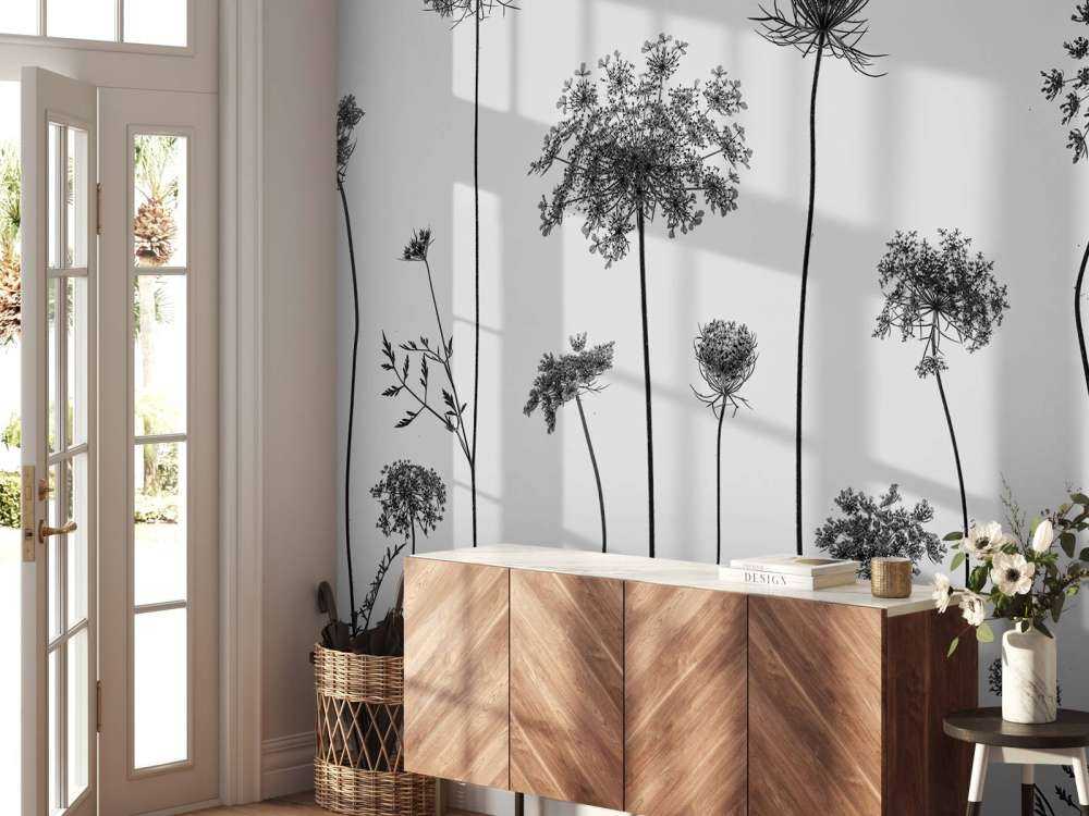 Cow parsley in black and white