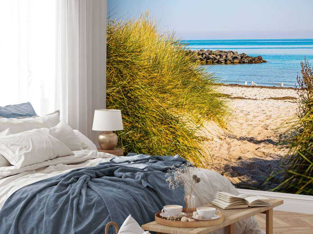 Beach at the Baltic Sea Coast