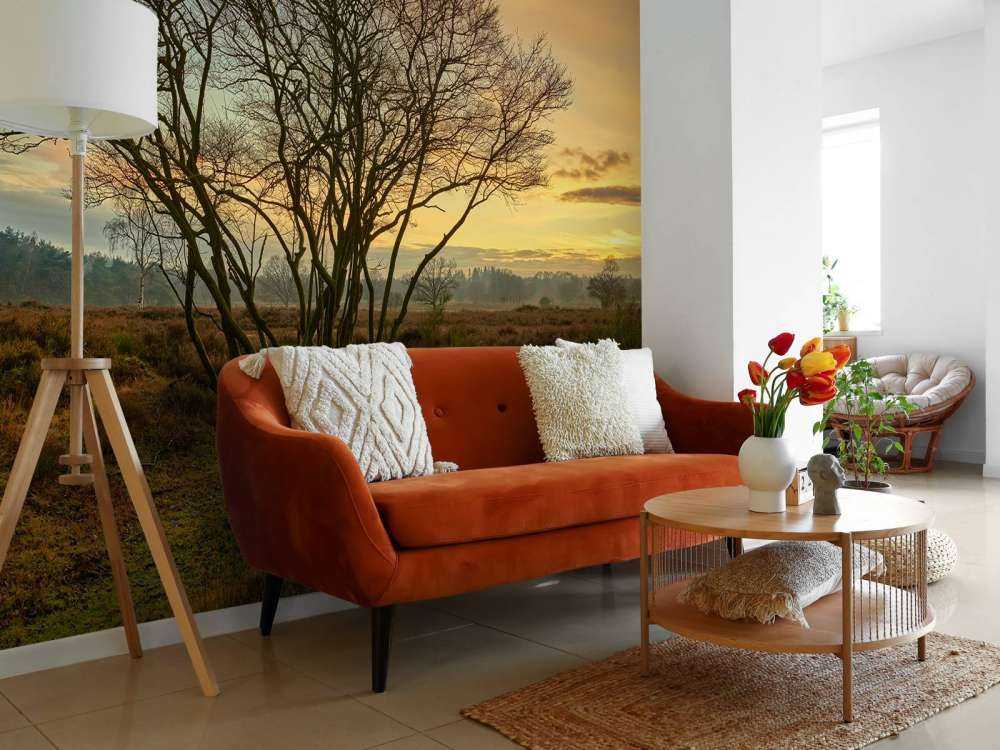 Sunrise on the heath