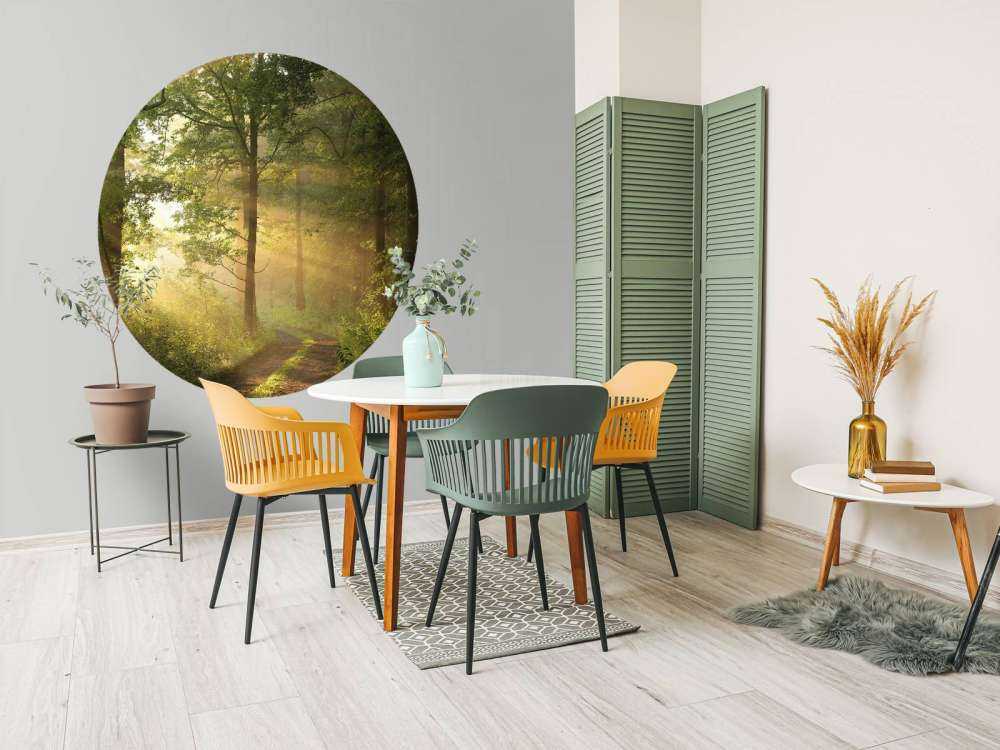 Misty spring morning