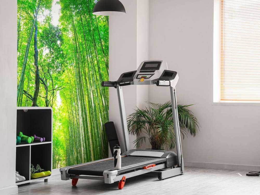 Bamboo forest of Arashiyama