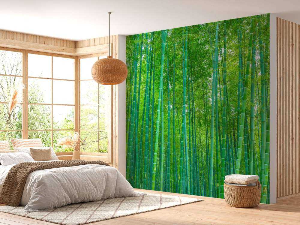 A green bamboo forest