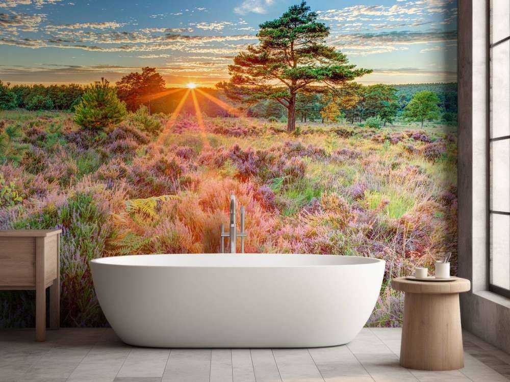 Sunset in the country