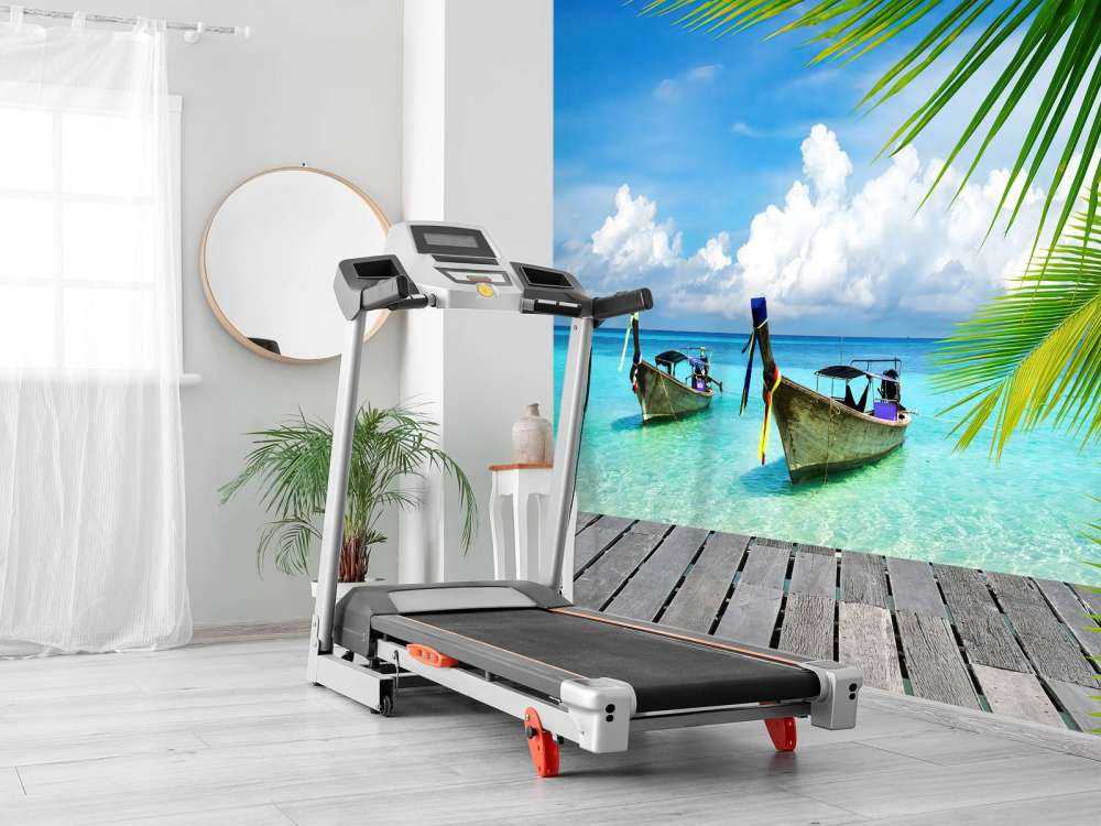 Boat and a palm tree