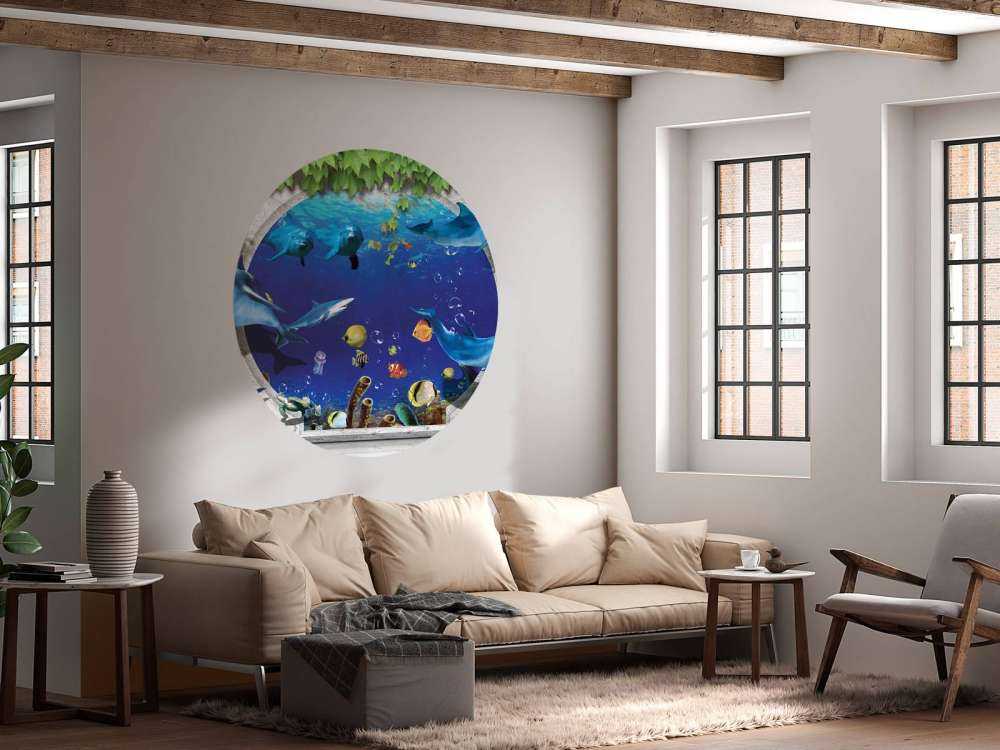 Dolphins through the wall