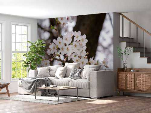 White blossoms