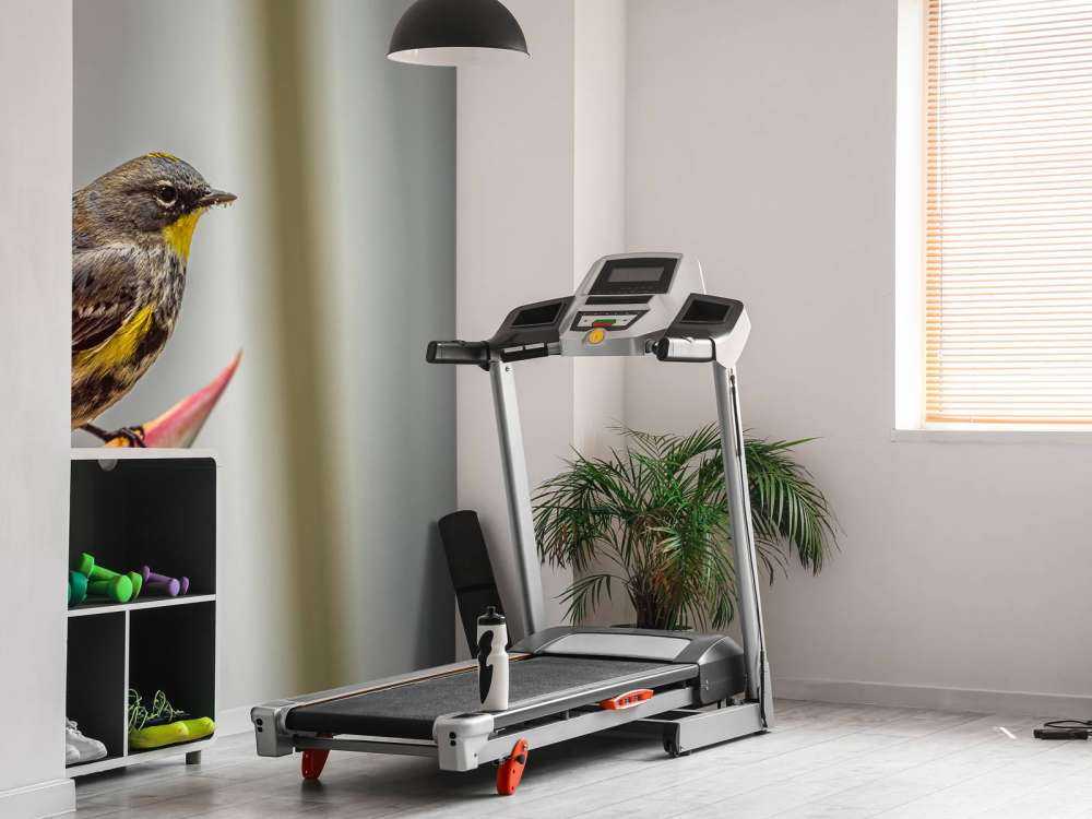 Paradise flower with bird