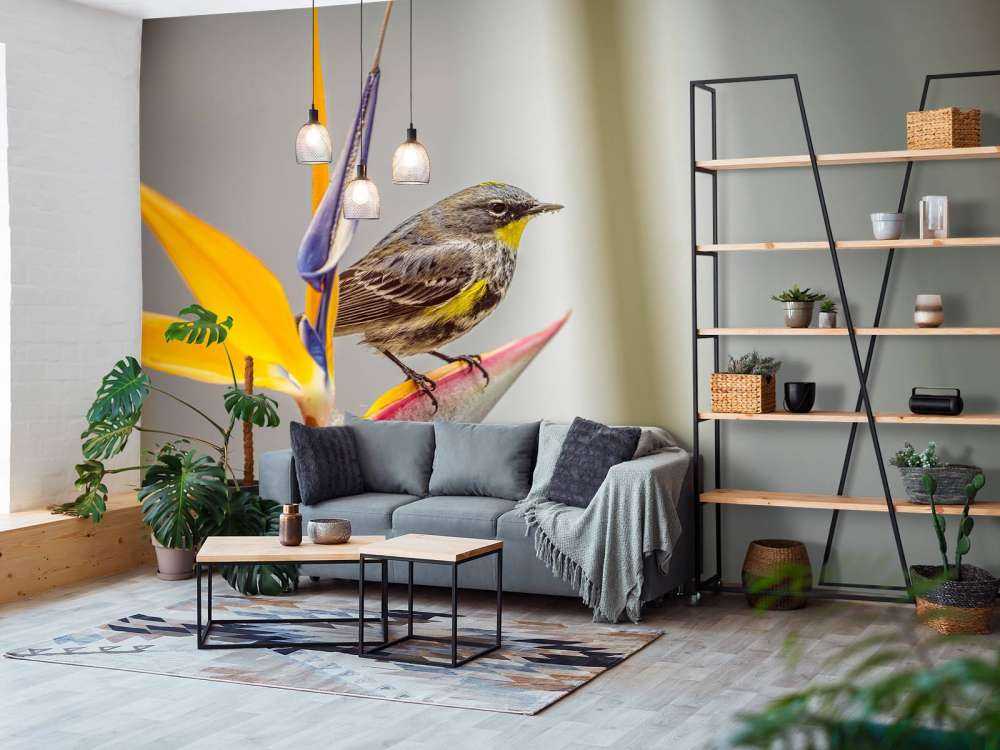 Paradise flower with bird