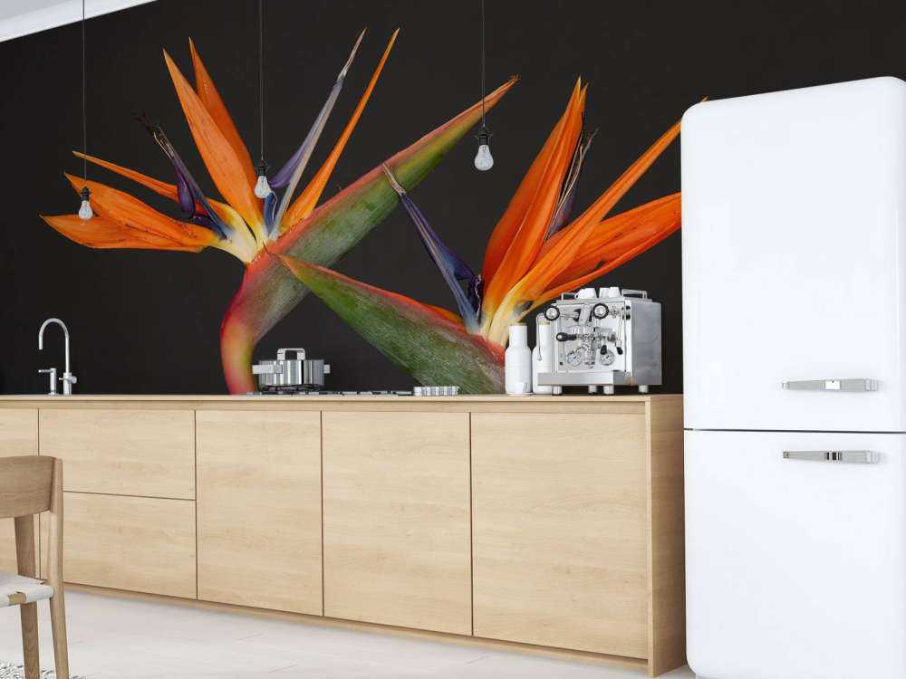 Bird of Paradise flowers