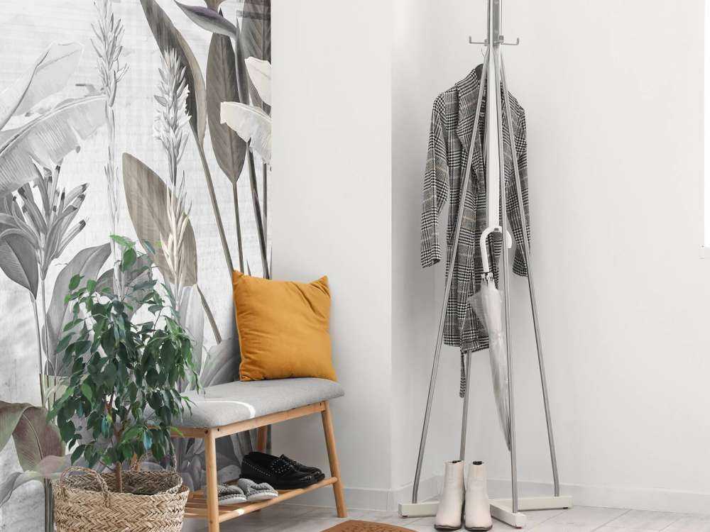 Dreams and Tropics 6