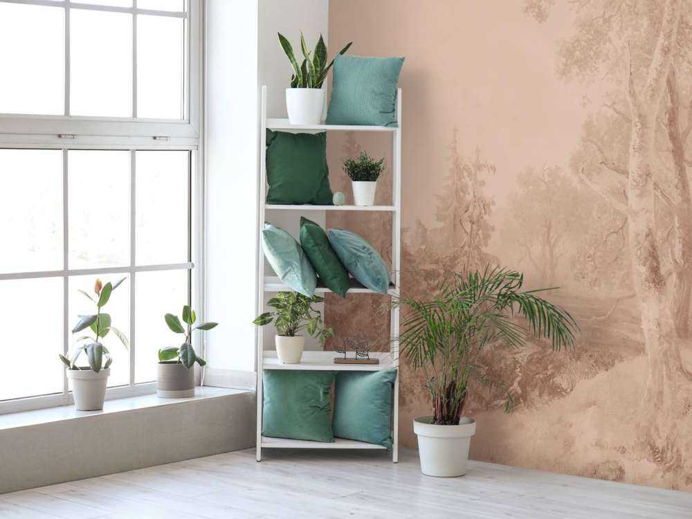 Forest Landscape Terra #2