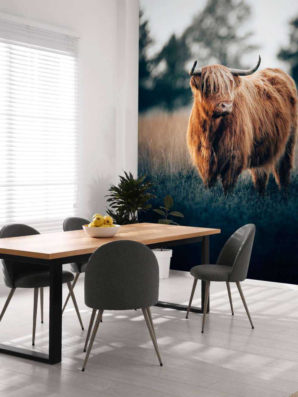 Portrait of Highlanders