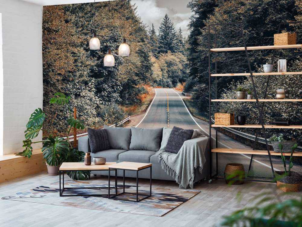 Forest along an American road