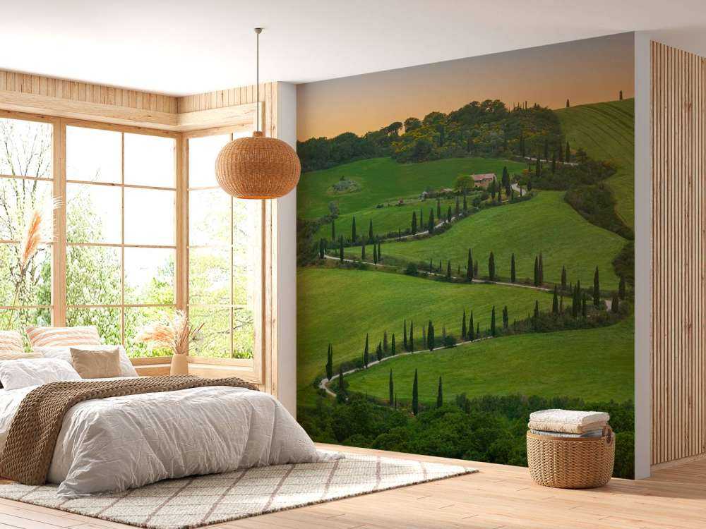 Winding road with cypresses