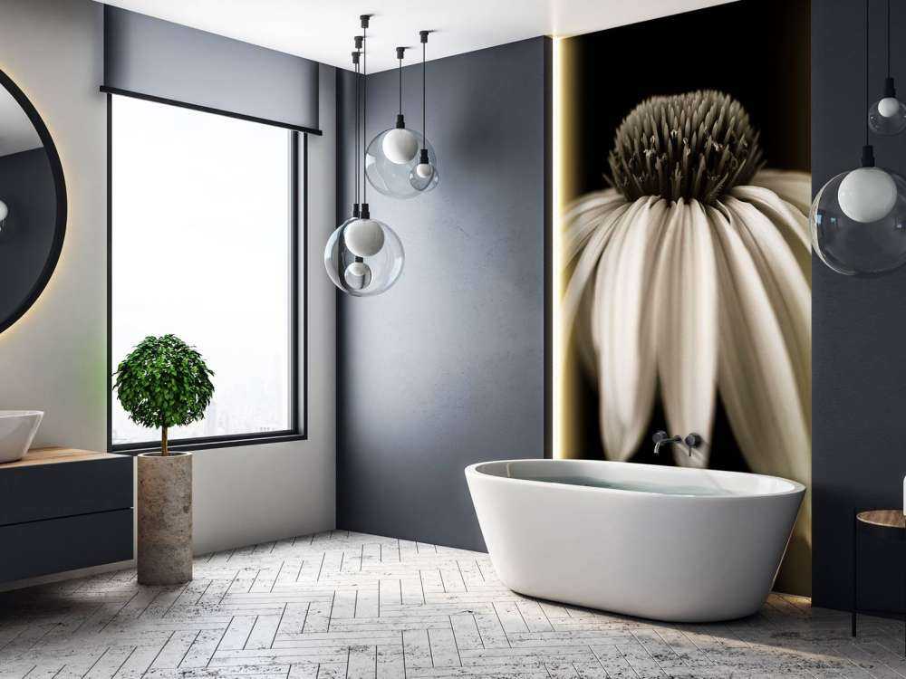 Cone flower close-up