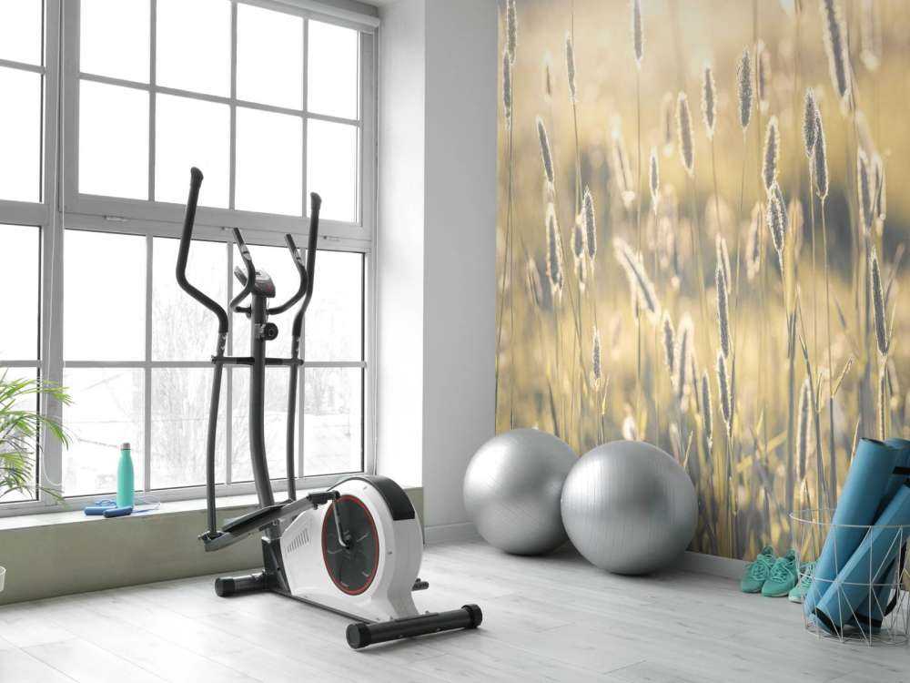 Summer meadow close-up