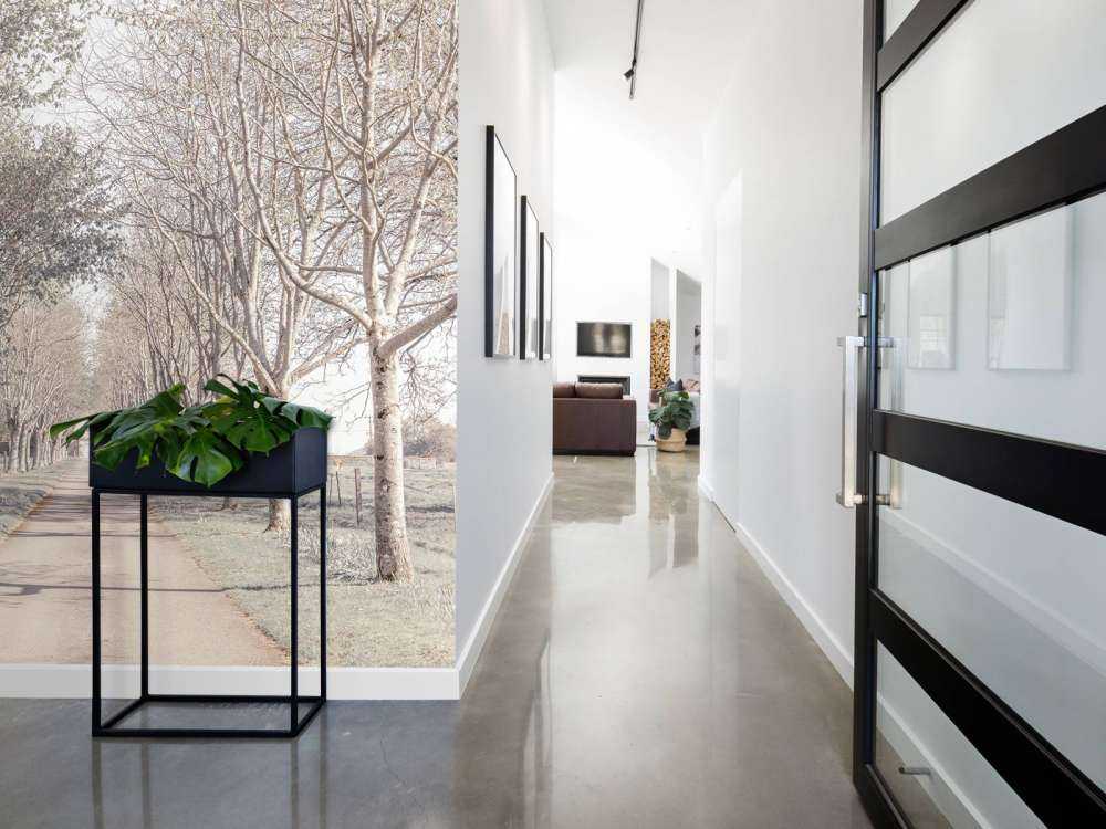 Path between the trees