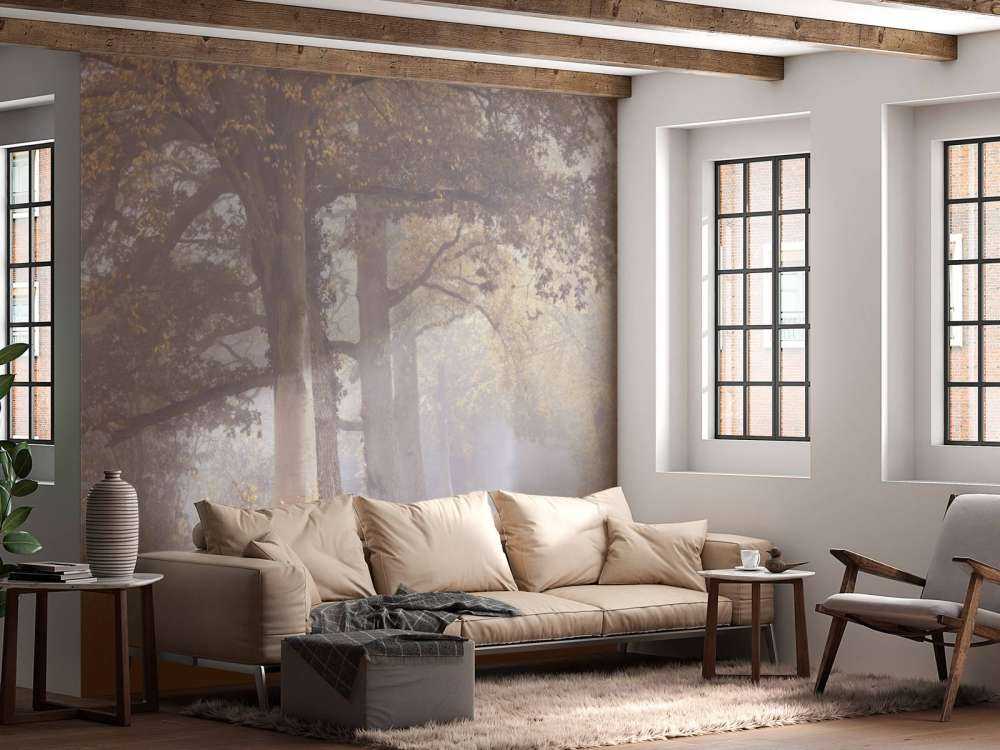 Misty road with trees