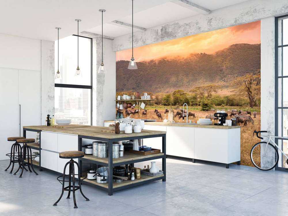 Savanna landscape with zebras