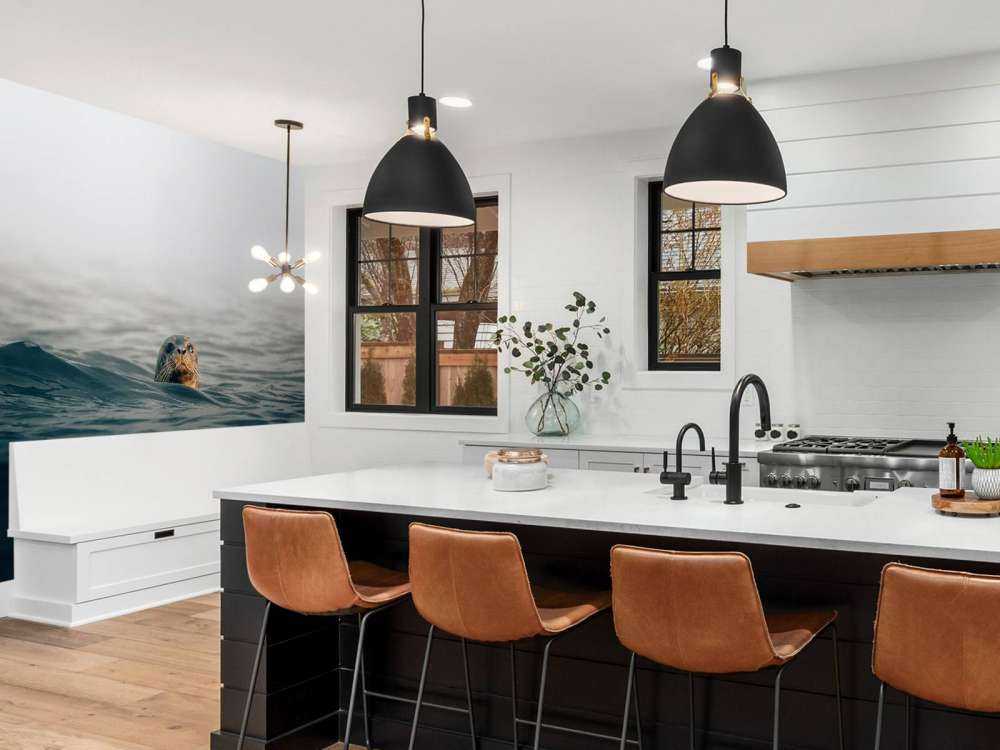 Seal off Danish coast