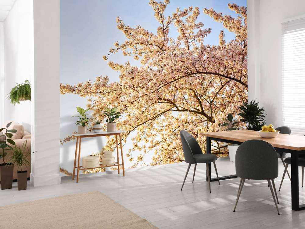 Blossom branch in bloom