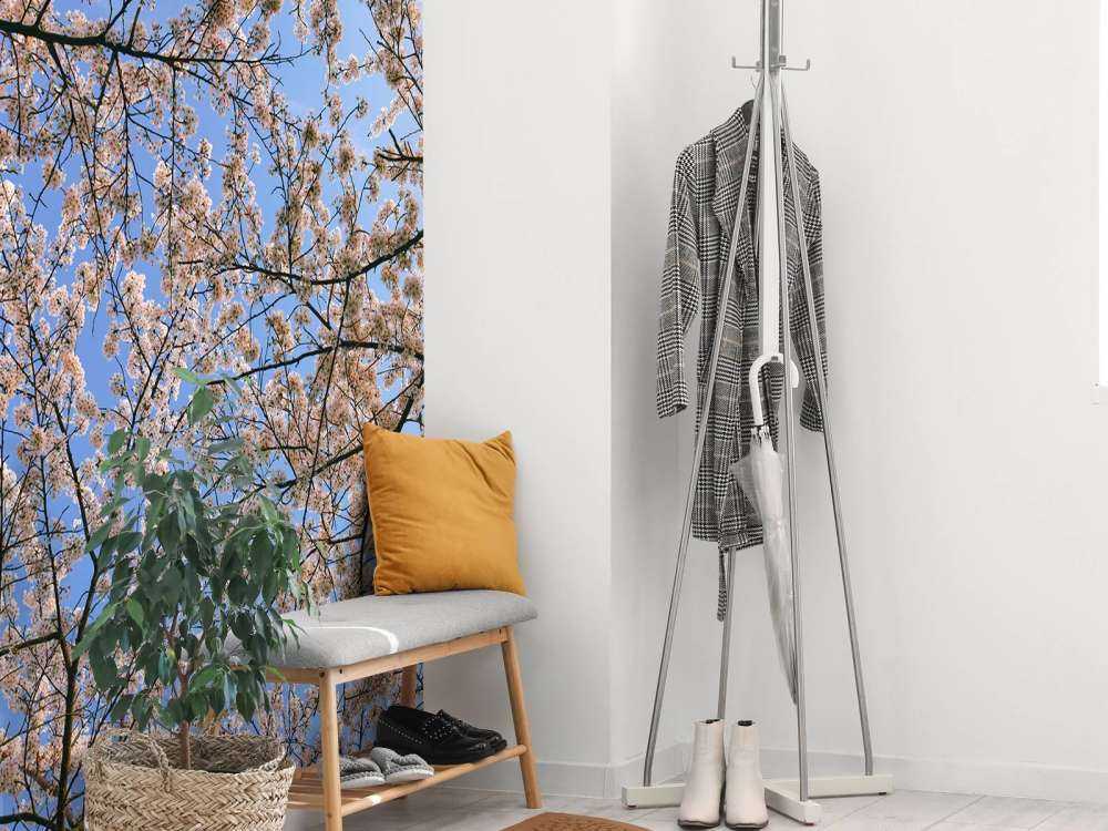 Flowering branches in bloom