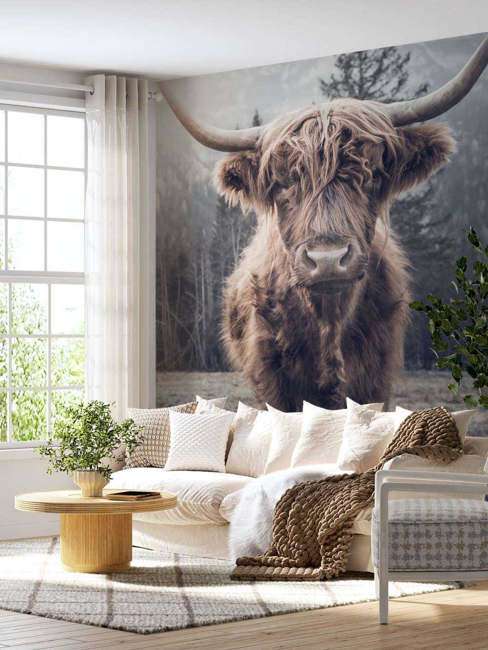 Scottish Highlander by the forest