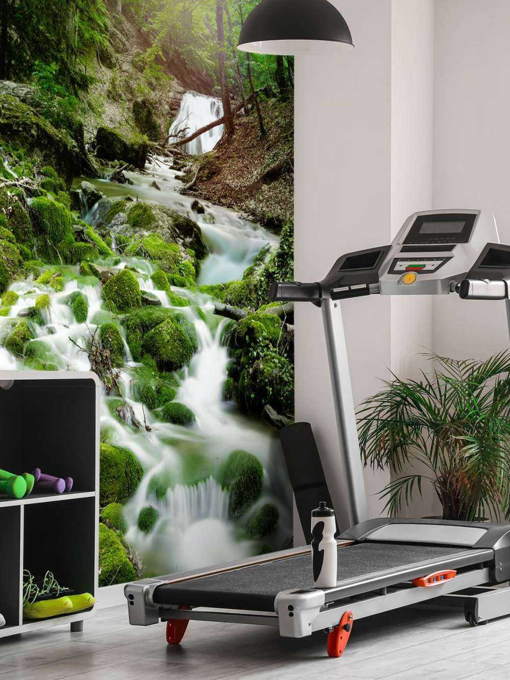 Waterfall in the Jungle