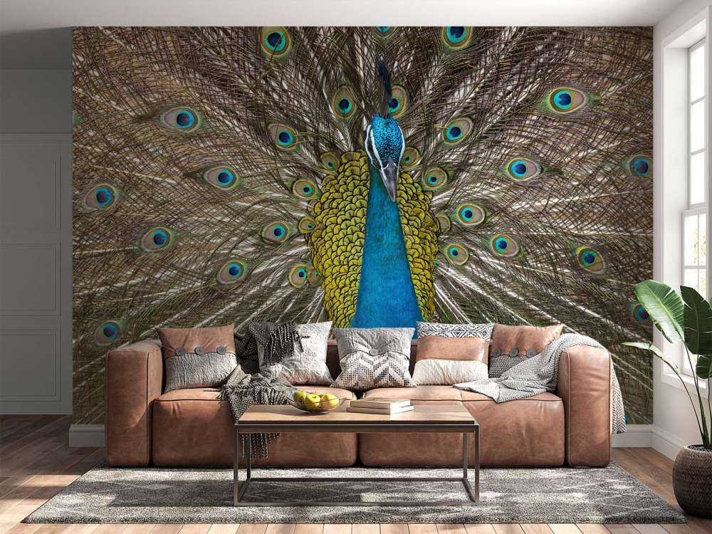 Peacock with stuffed feathers
